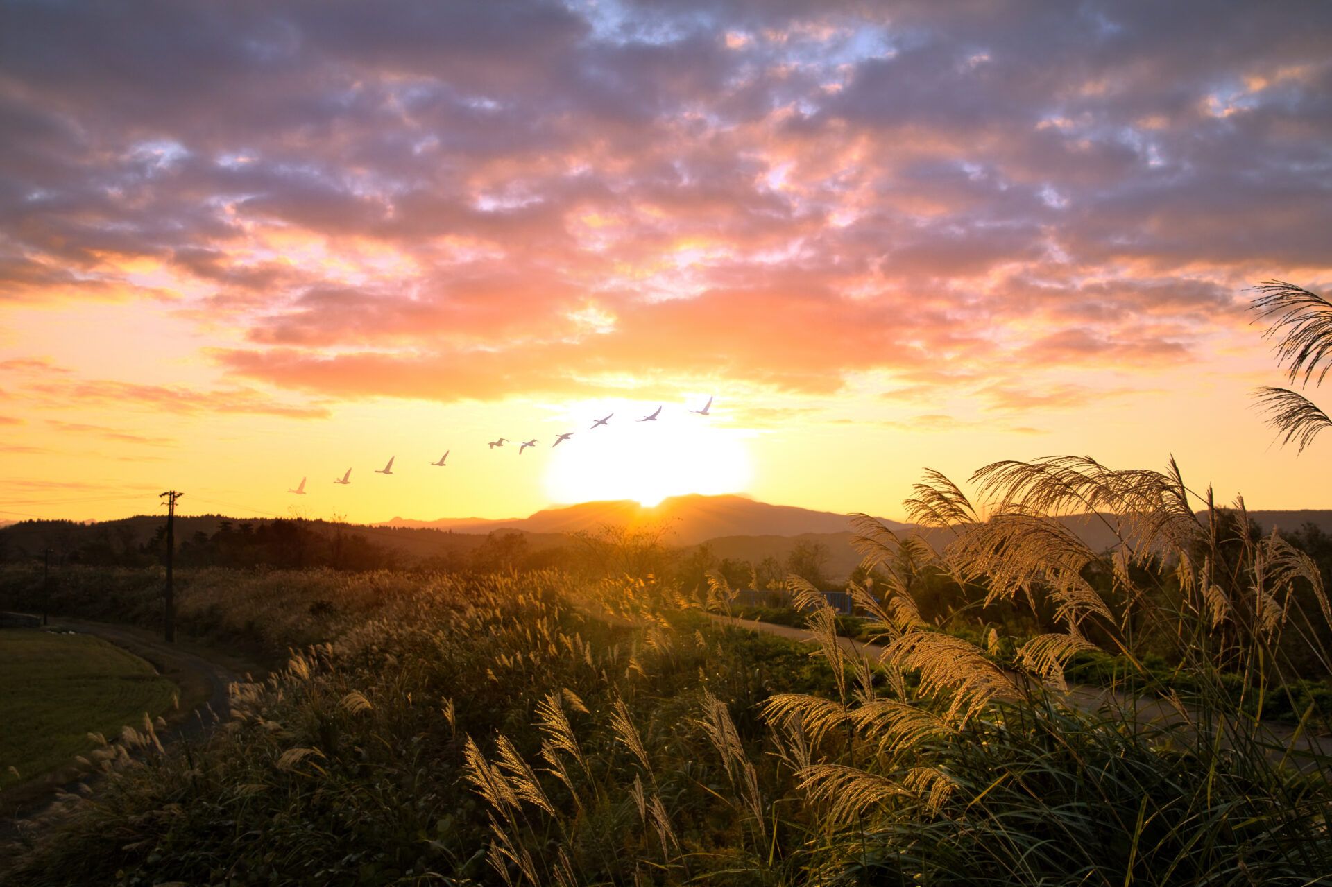 fe755e36a9f7f60fa8a92eab33b22b